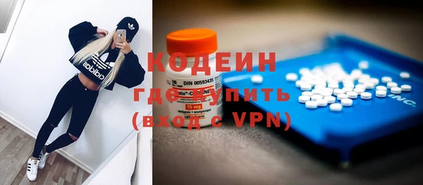 индика Алзамай